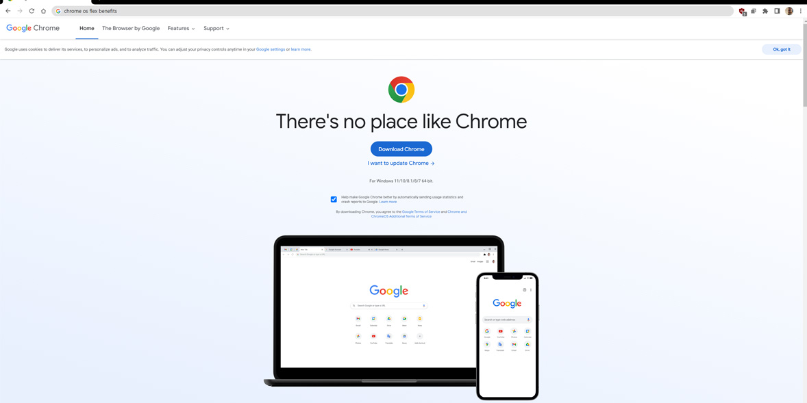 Browser privacy: should you switch from Chrome?