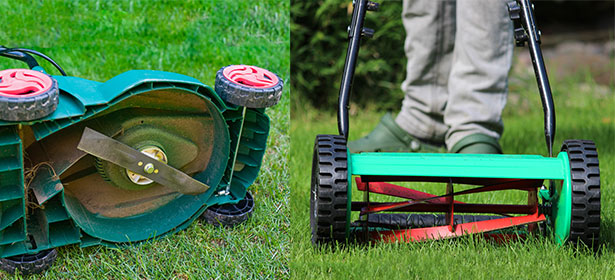 rotary mower vs a cylinder mower